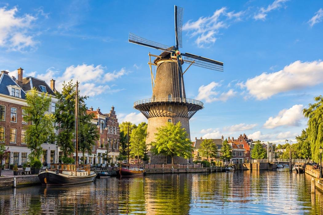 Illustratie van de molens aan het water in Schiedam